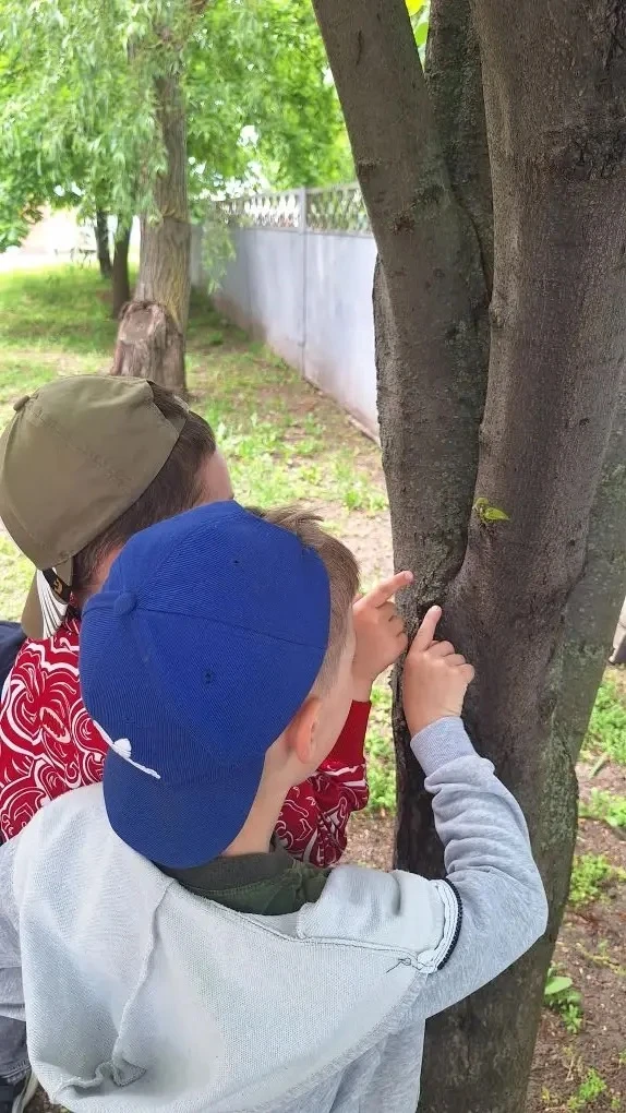 🐜 Интересно и познавательно в  подготовительной к школе группе прошёл  тематический Де...