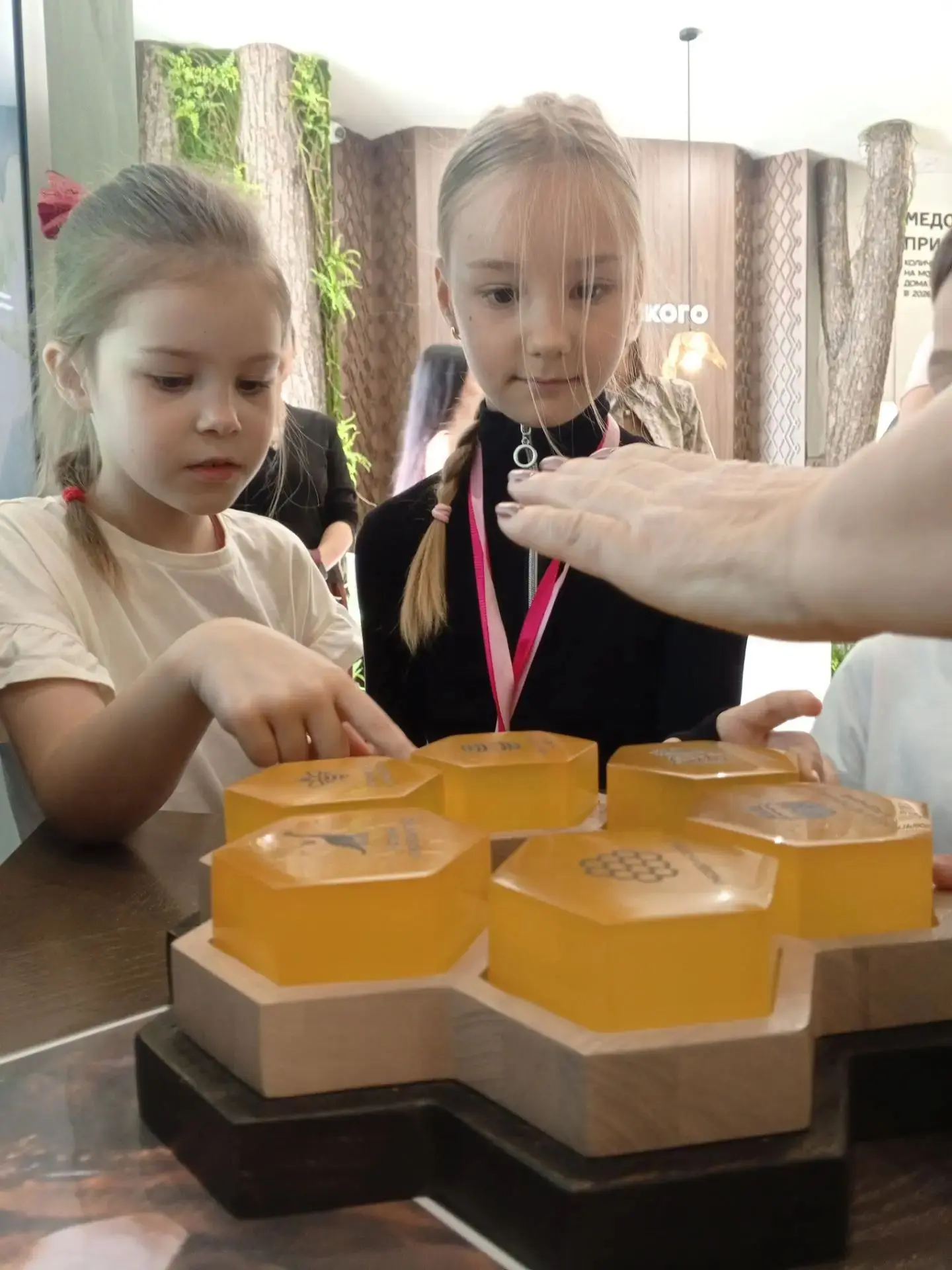 В гостях у пчёл 🐝 🐝 🐝