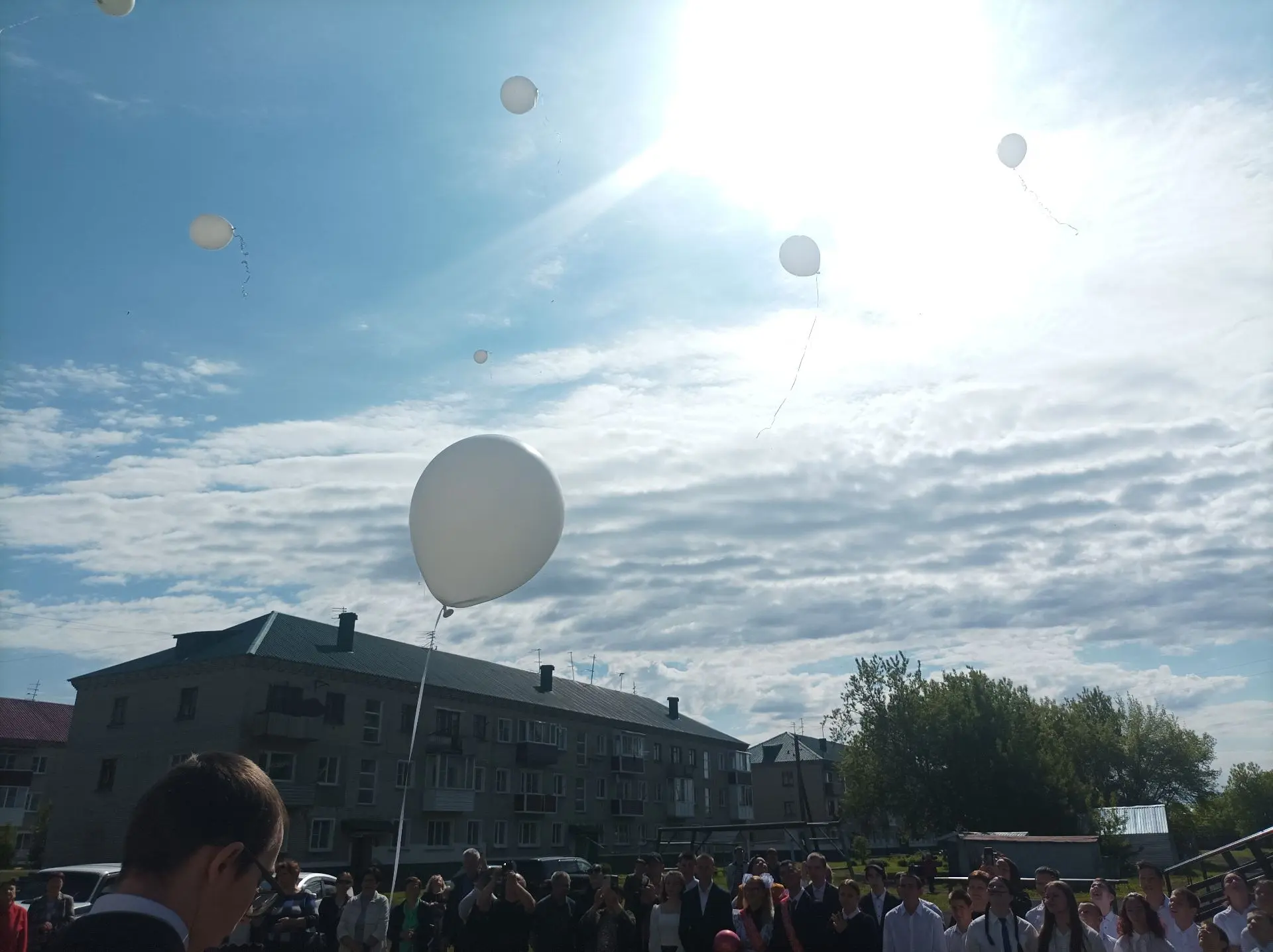 Выпускники  Рыбинской школы!