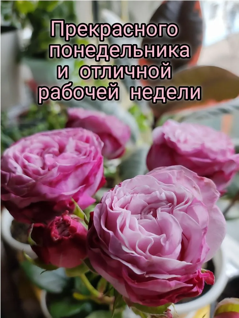 Всем привет 👋