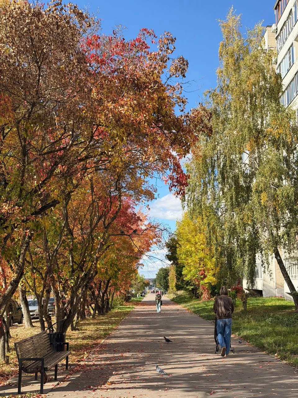 🍂50 оттенков осени на Ленина