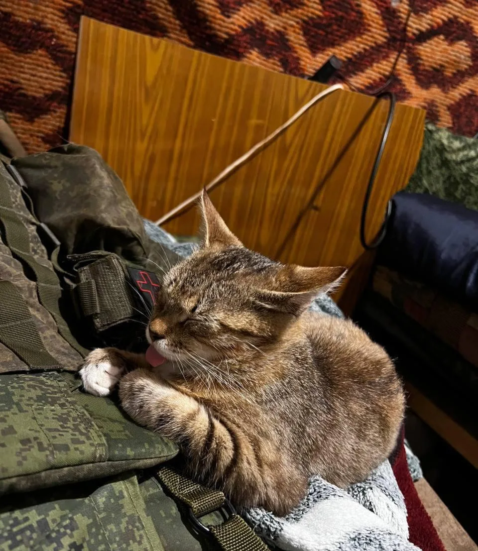 Спокойной ночи 😴
