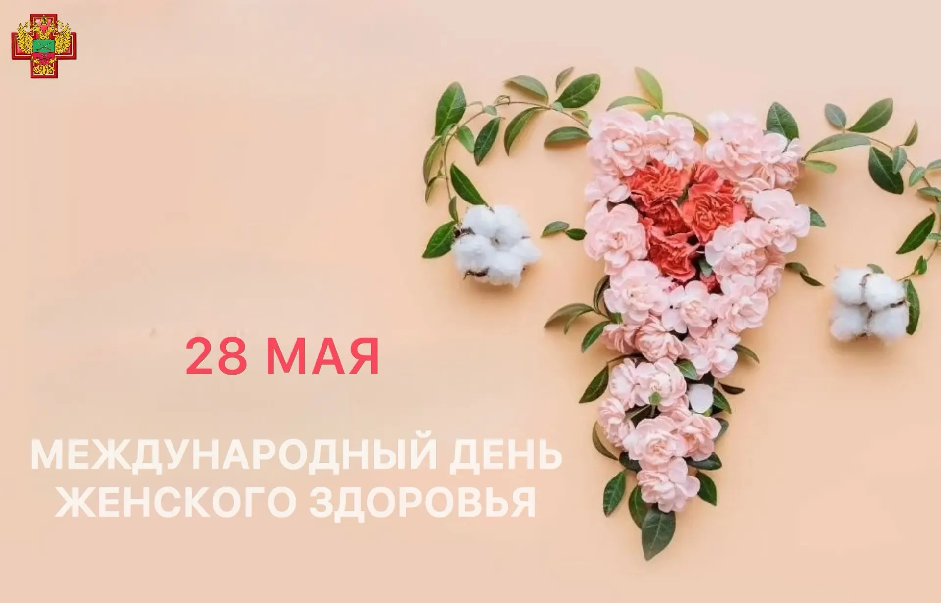 Самое ценное, что есть у женщины - это здоровье. И лучший подарок, который вы можете се...