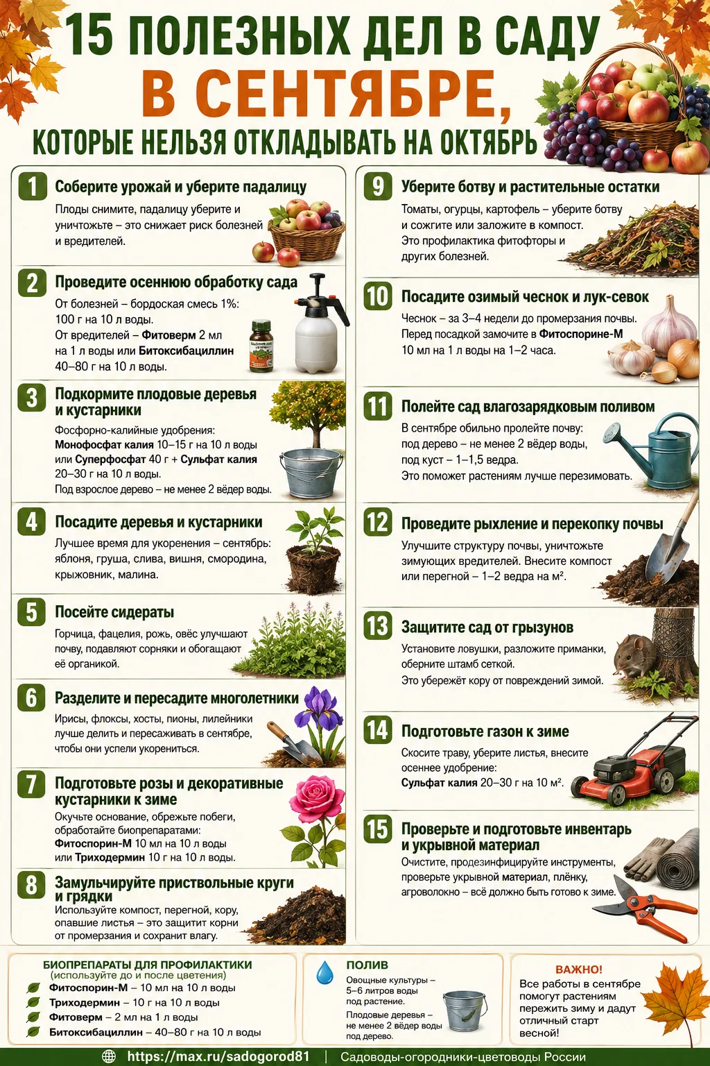 15 полезных дел в саду в сентябре, которые нельзя откладывать на октябрь