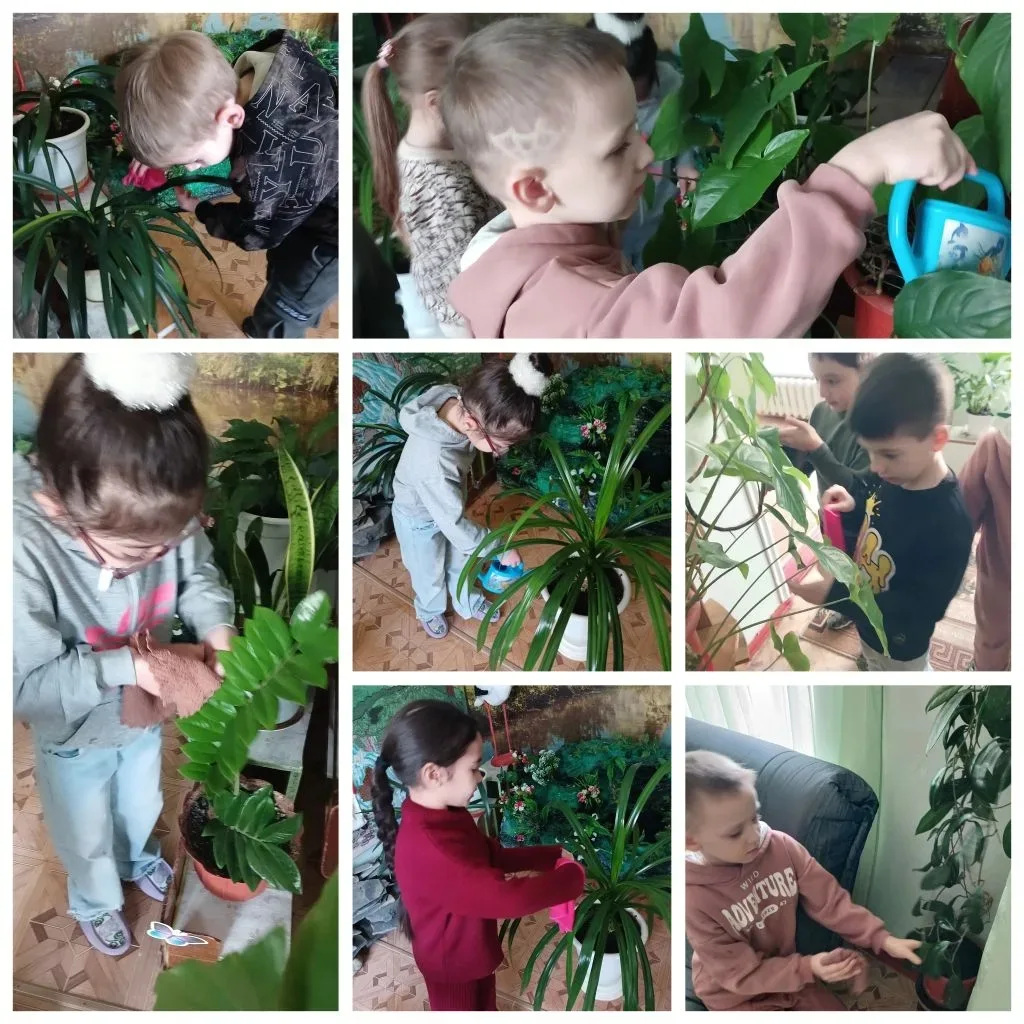 Работа в уголке природы