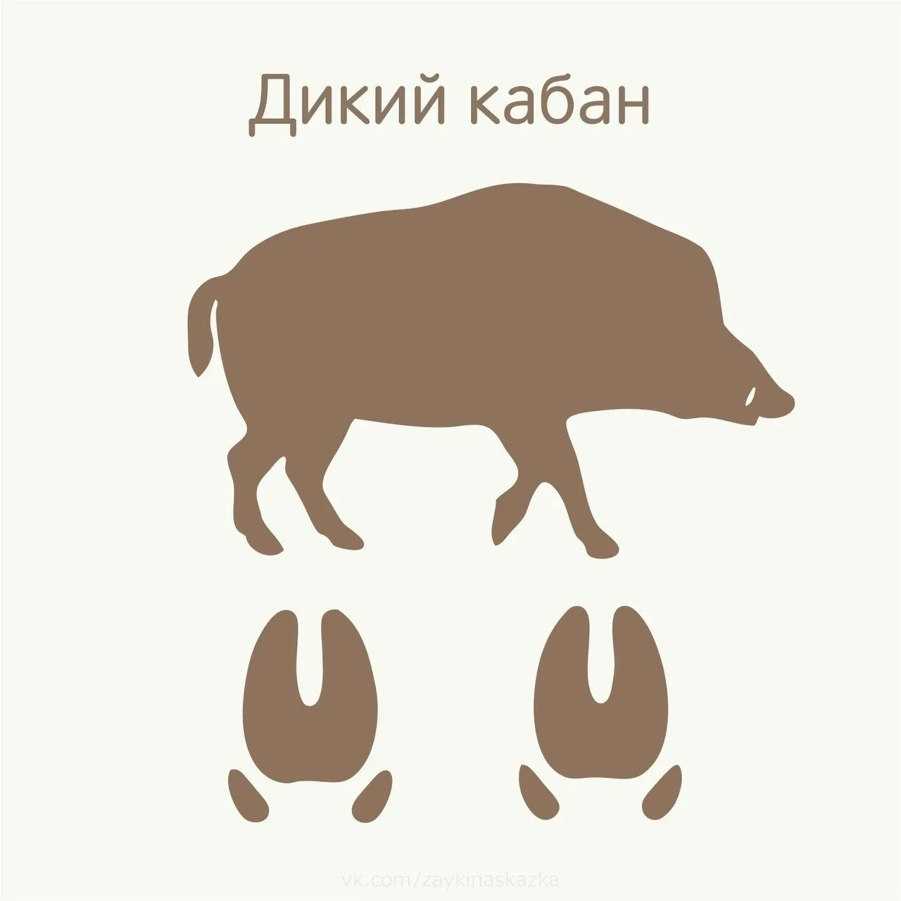 ВНИМАНИЕ
Найди тень