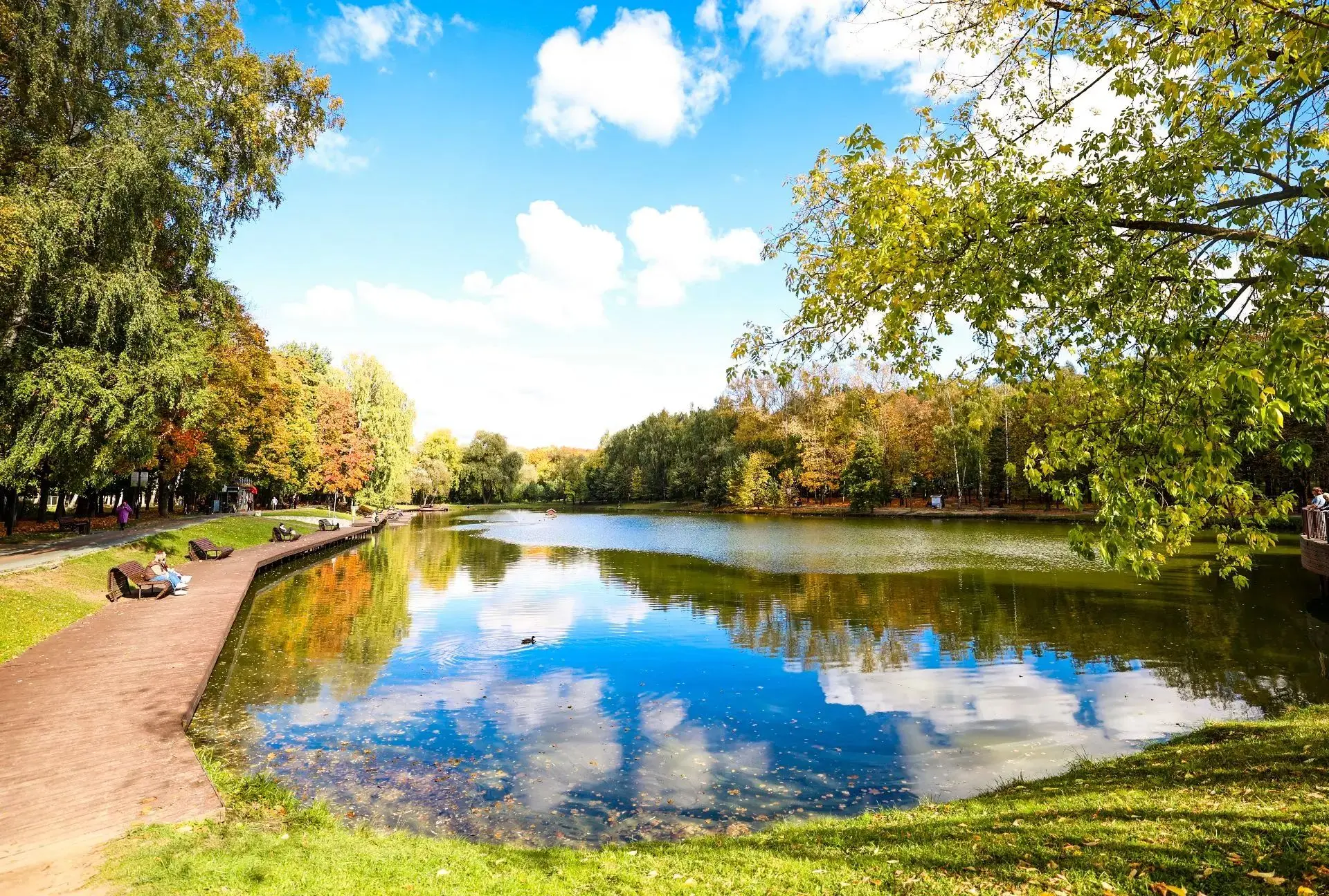 🍁Золотая осень в Красногорске.