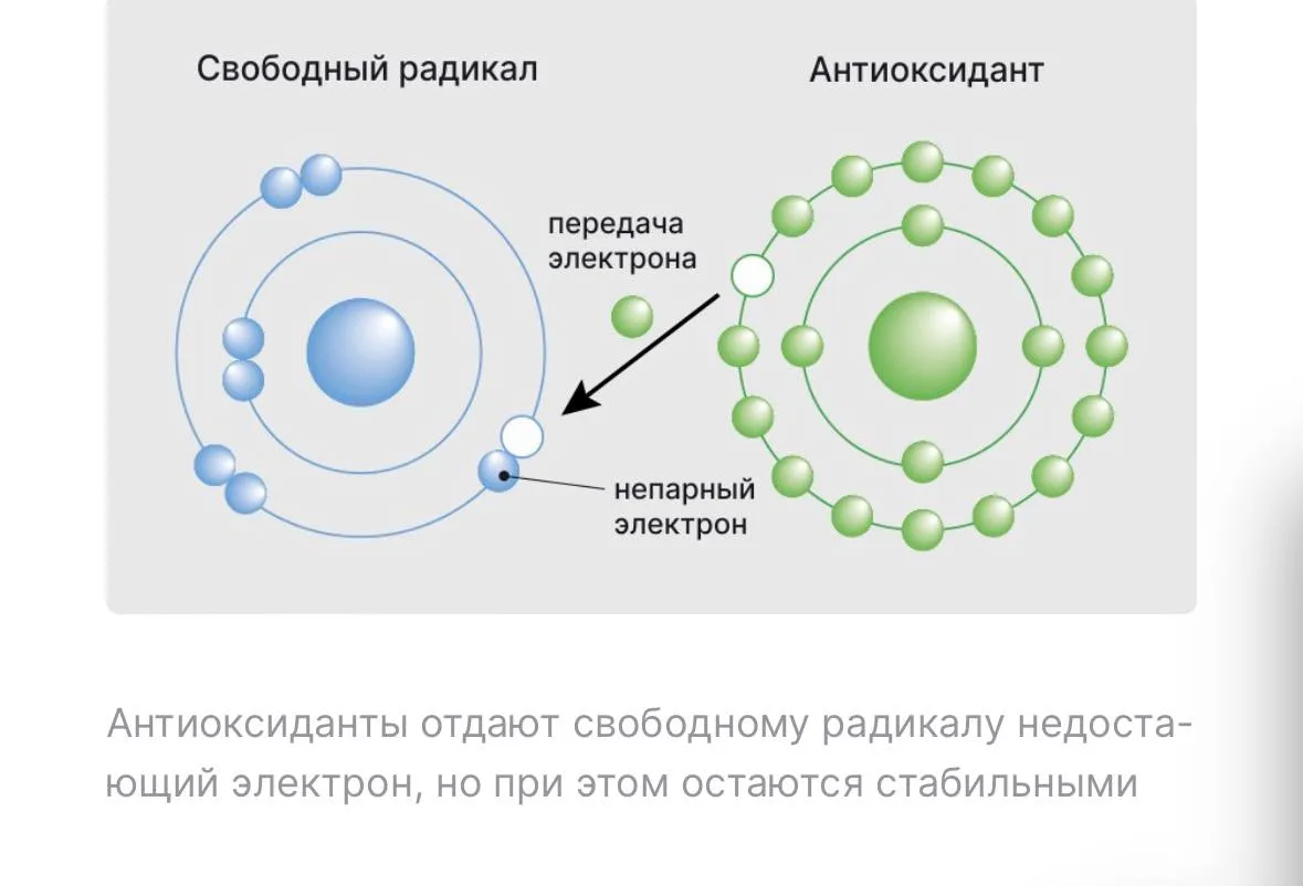 А можем просто пропить бьюти-бленд🍇🍷