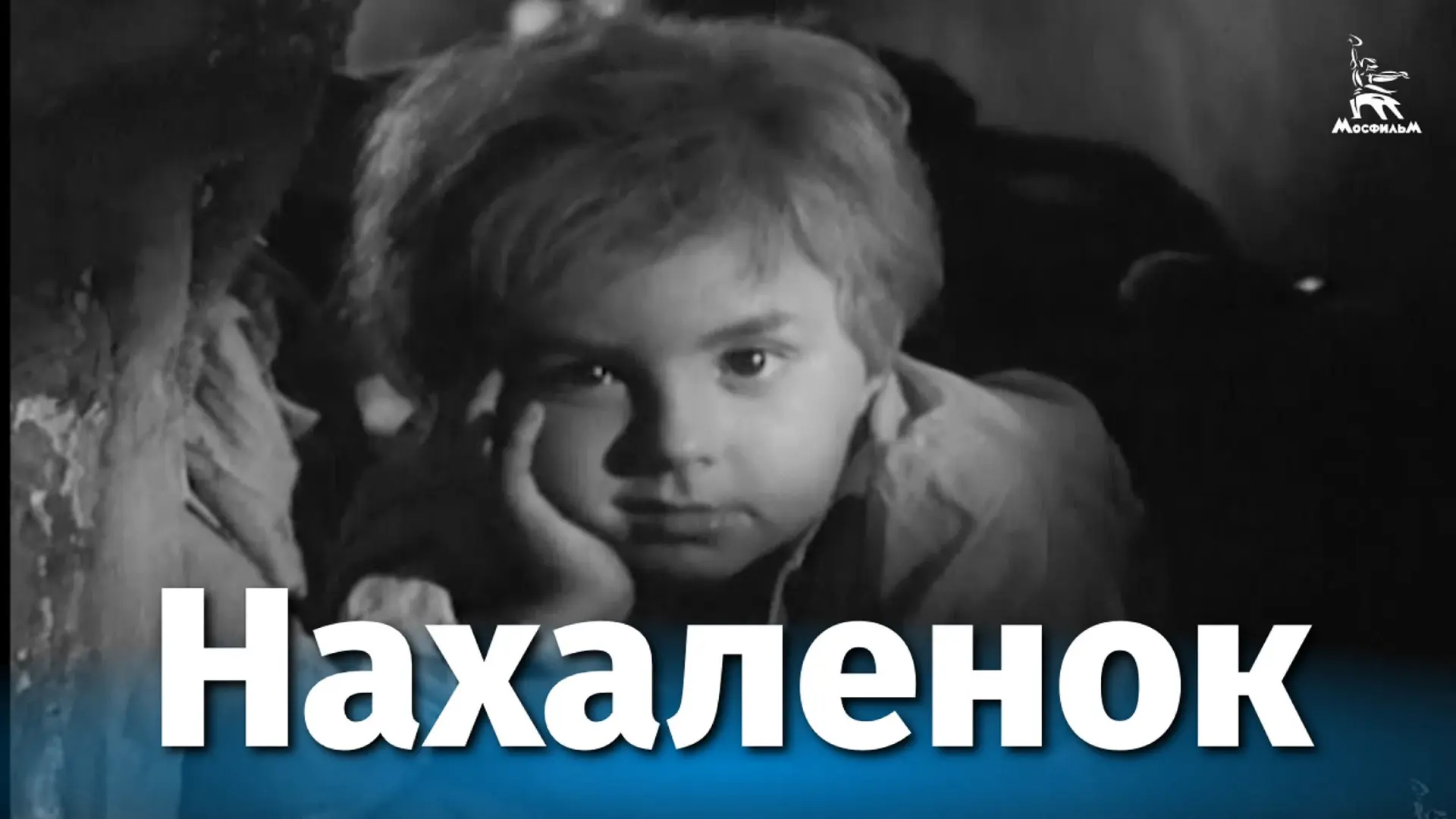 СМОТРИМ ВСЕЙ СЕМЬЕЙ️ "М. А. Шолохов - певец донского края"  Уважаемые родители, педагоги и обучающие