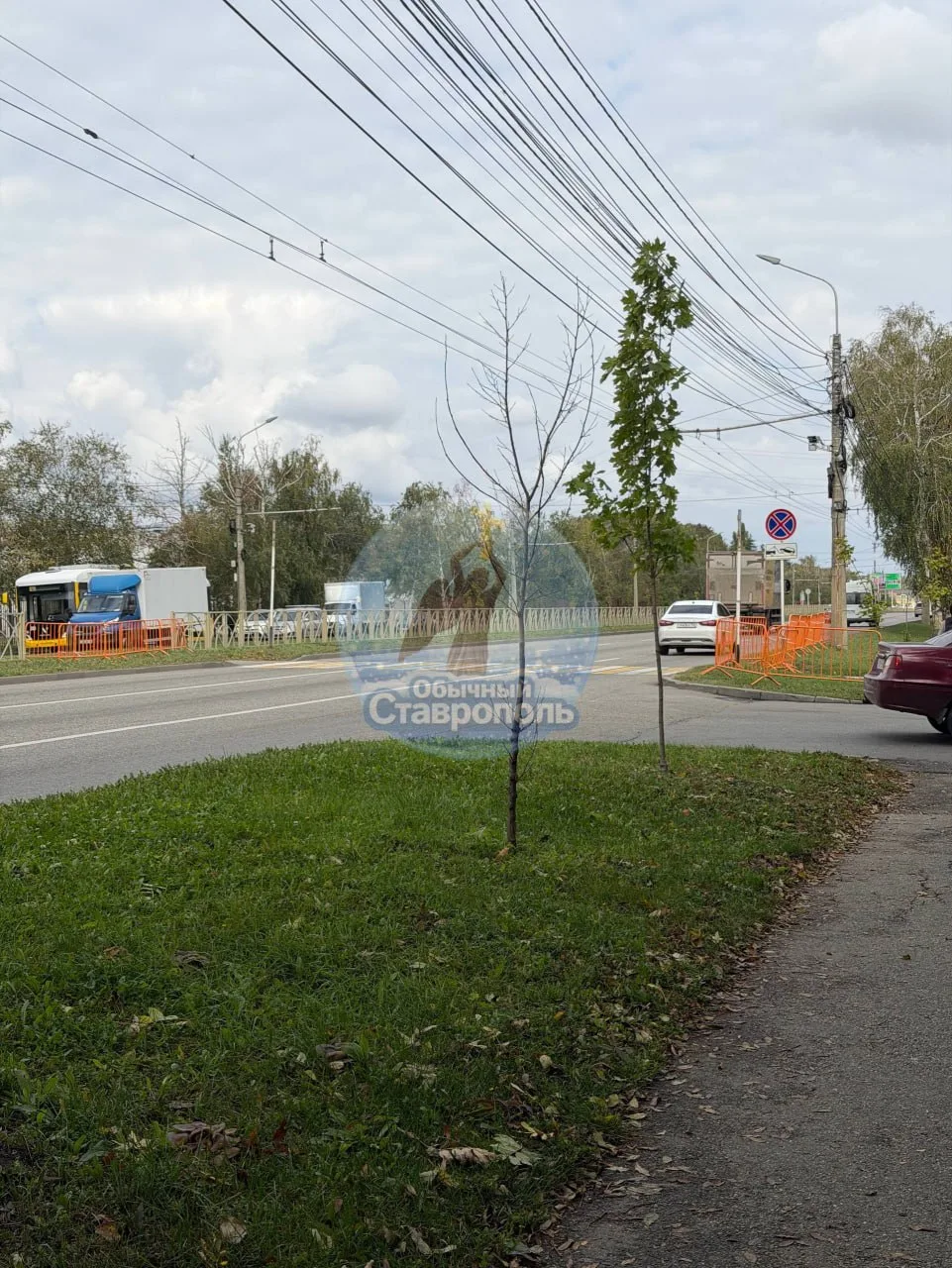 На Кулакова возле СКФУ перекрыли пешеходный переход