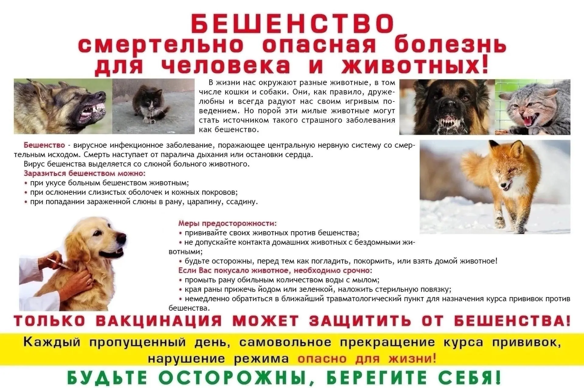Что такое бешенство и чем оно опасно?

Бешенство – это природно-очаговая болезнь, опасная для челове