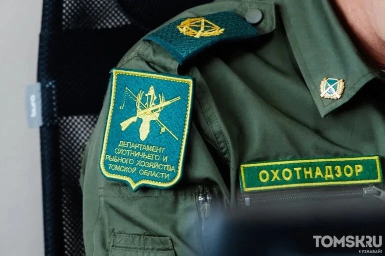 Томским охотникам начнут платить за добытых медведей