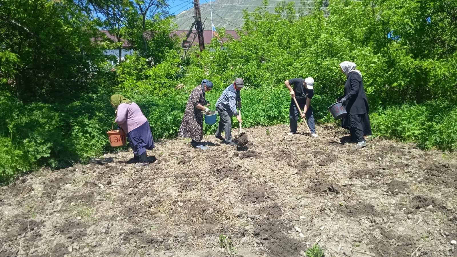 🌾 Посадка картофеля на пришкольном опытном участке.