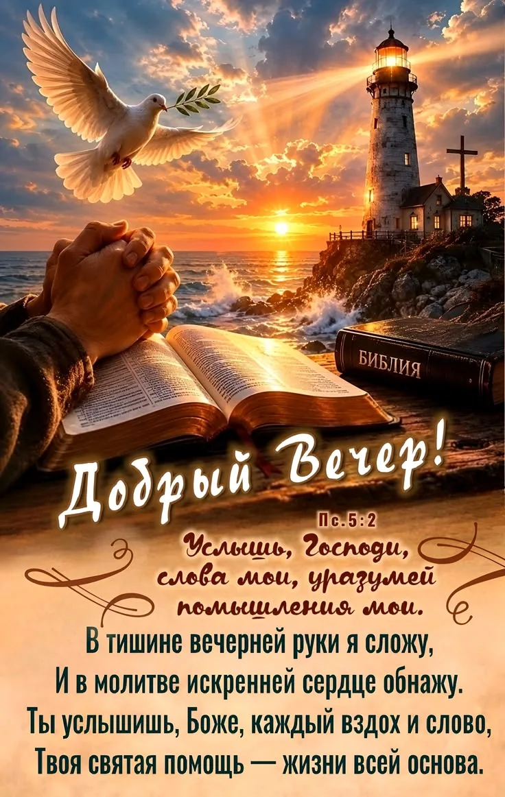 СОЛНЕЧНЫЕ ОТКРЫТКИ