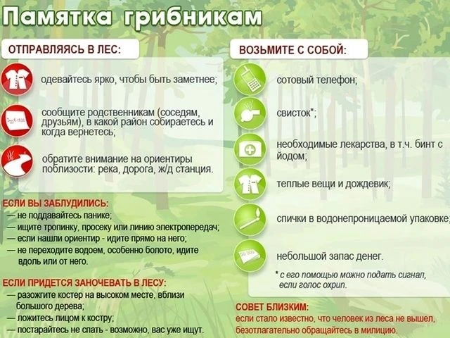 С приходом осени открылся сезон сбора грибов. К сожалению, далеко не каждый поход в лес...