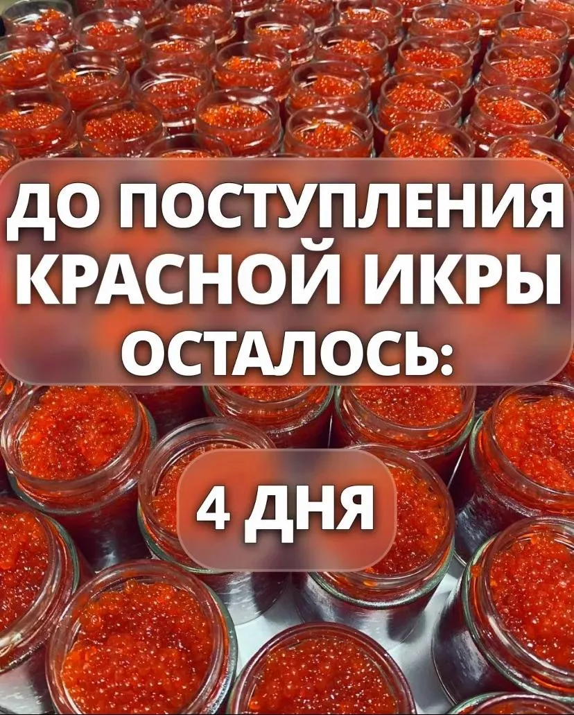 ✨🧡✨🧡✨🧡✨🧡✨🧡✨🧡✨