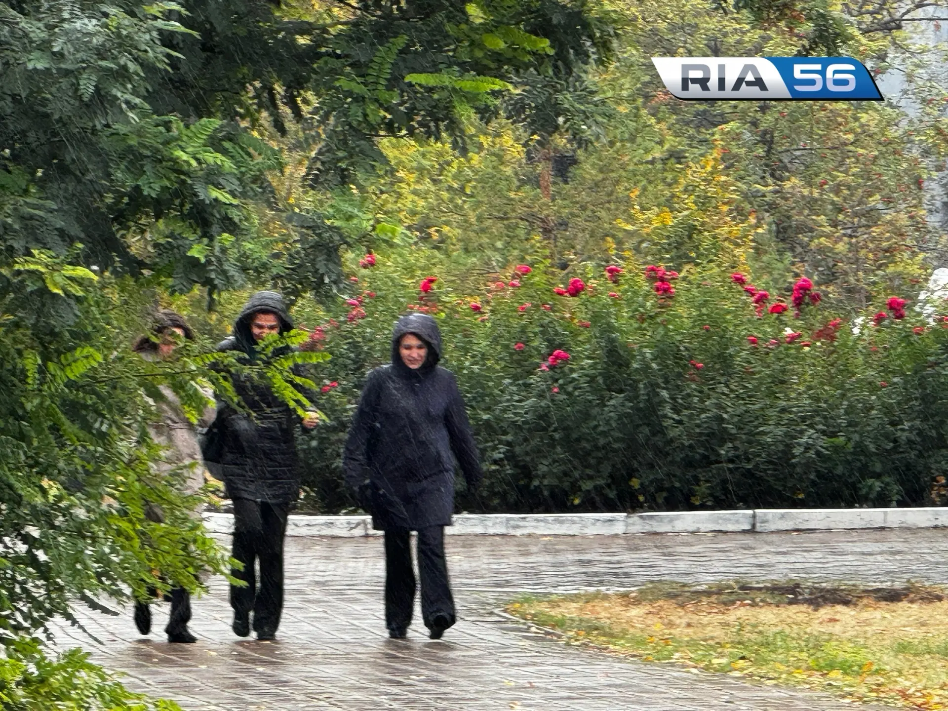 ☔️В среду в Оренбуржье снова дождь