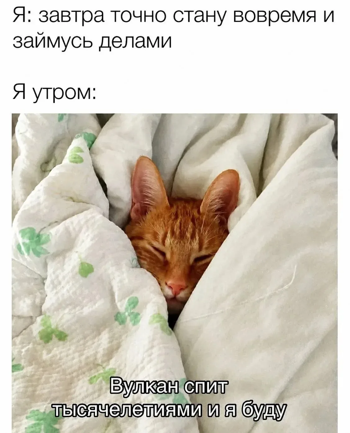 Дорогие, прекрасного понедельника!