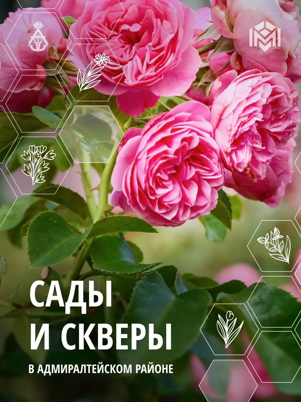 Прогулка по садам и скверам Адмиралтейского района отличная идея для выходных. В карточ...