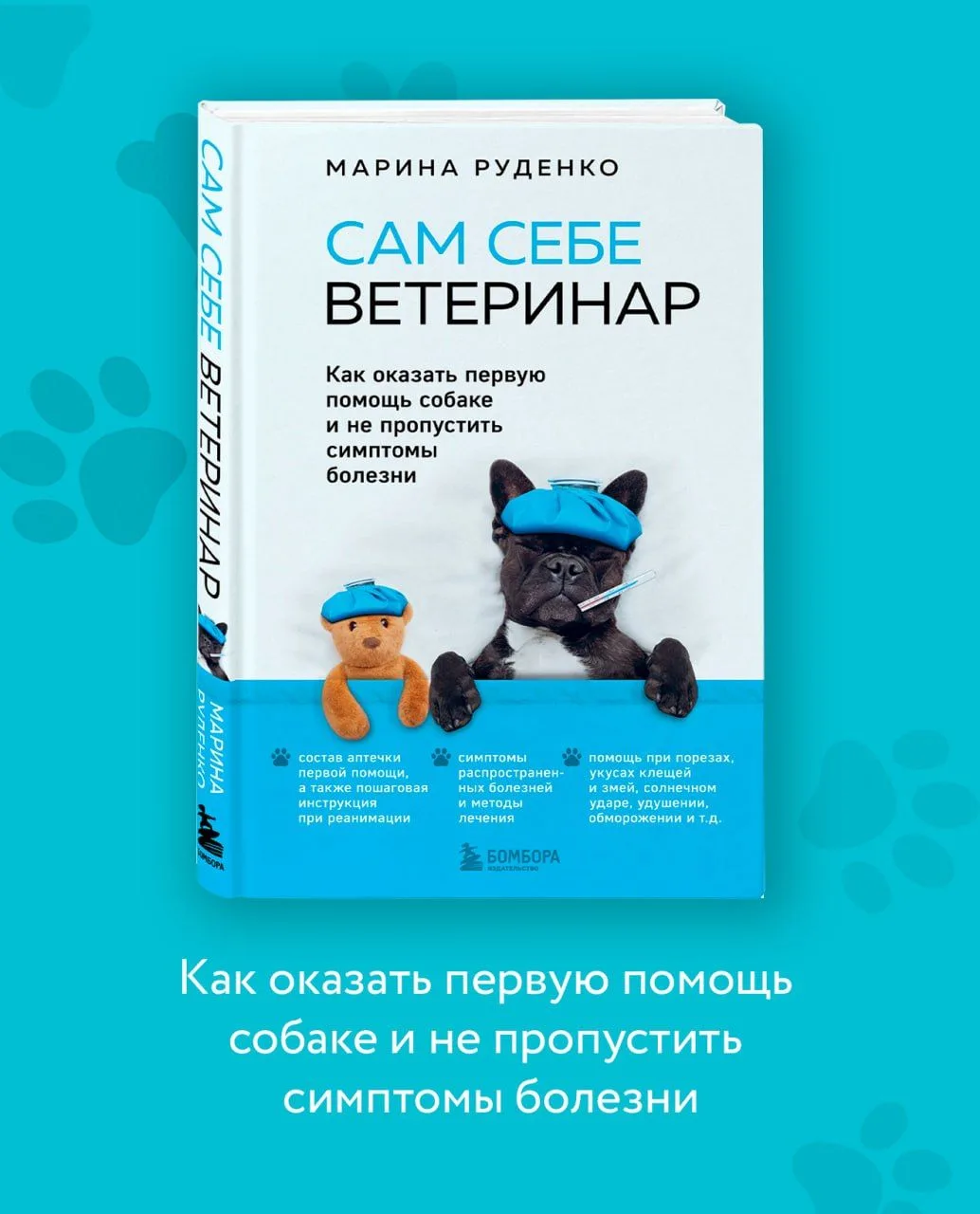 🐕 Сегодня отмечается Международный день собак!
