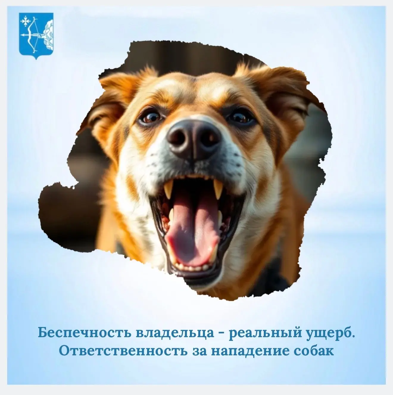 К сожалению, в нашей области нередки случаи нападения собак на детей. В этом году проку...
