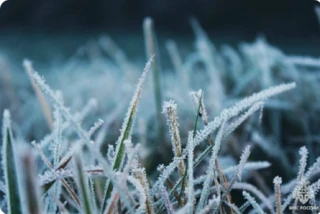 🌡 Внимание, прогноз погоды: ожидаются заморозки! 🌡