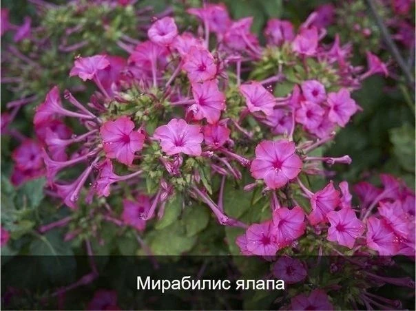 Подвесной диванчик своими руками.