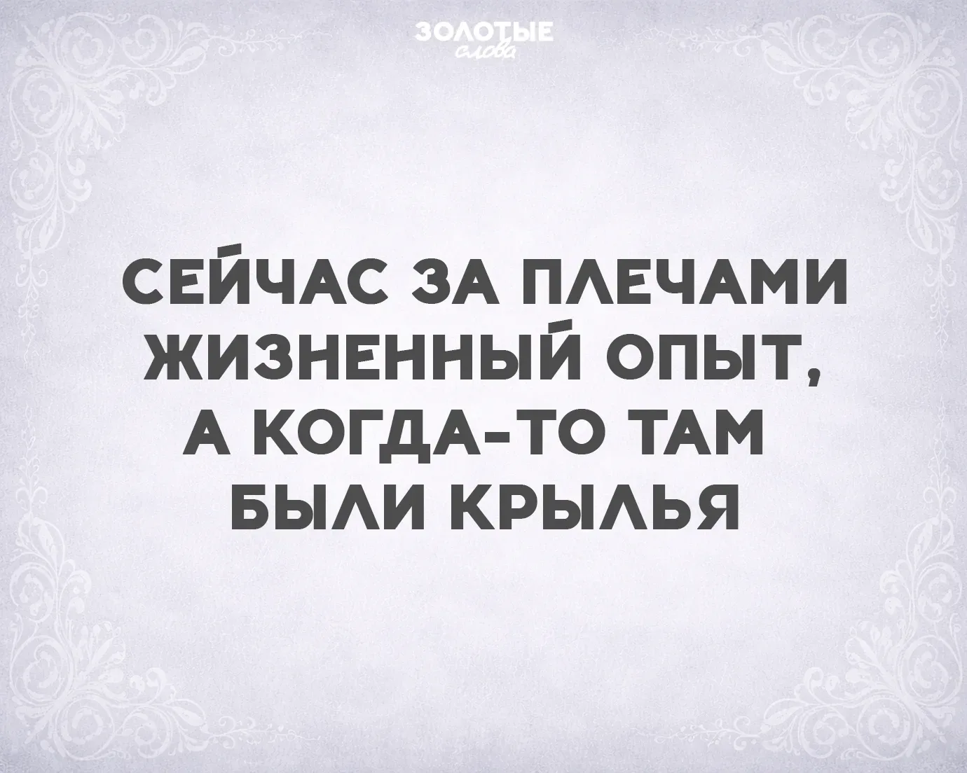 Золотые слова 📜