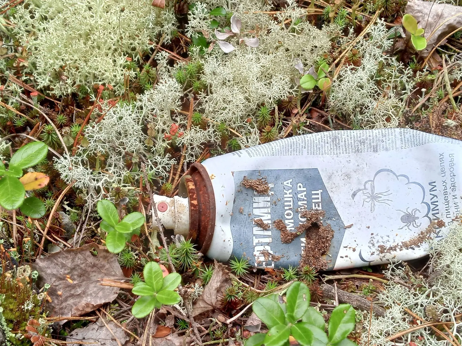 🌿 Лес умеет прощать, но не должен быть помойкой