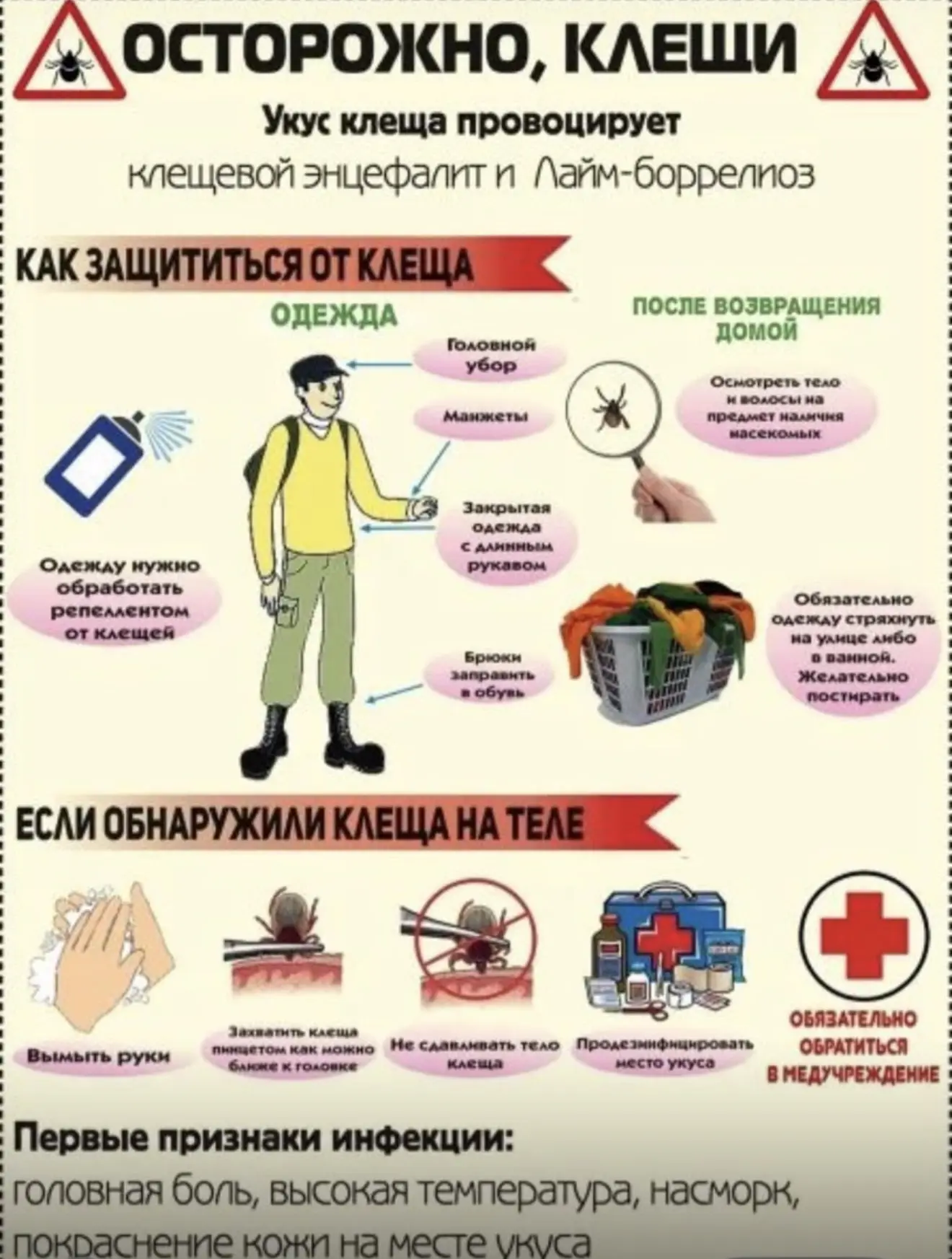 Внимание, опасность! Клещи несут угрозу: зафиксирован случай крымской геморрагической лихорадки в Ки