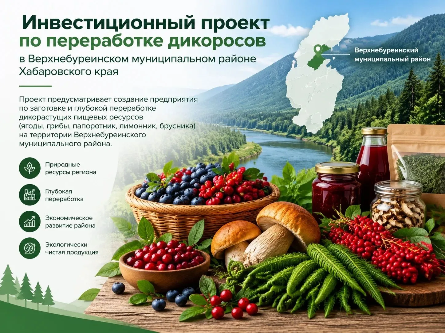 ✅Перспективное направление для инвестирования в Верхнебуреинском муниципальном районе