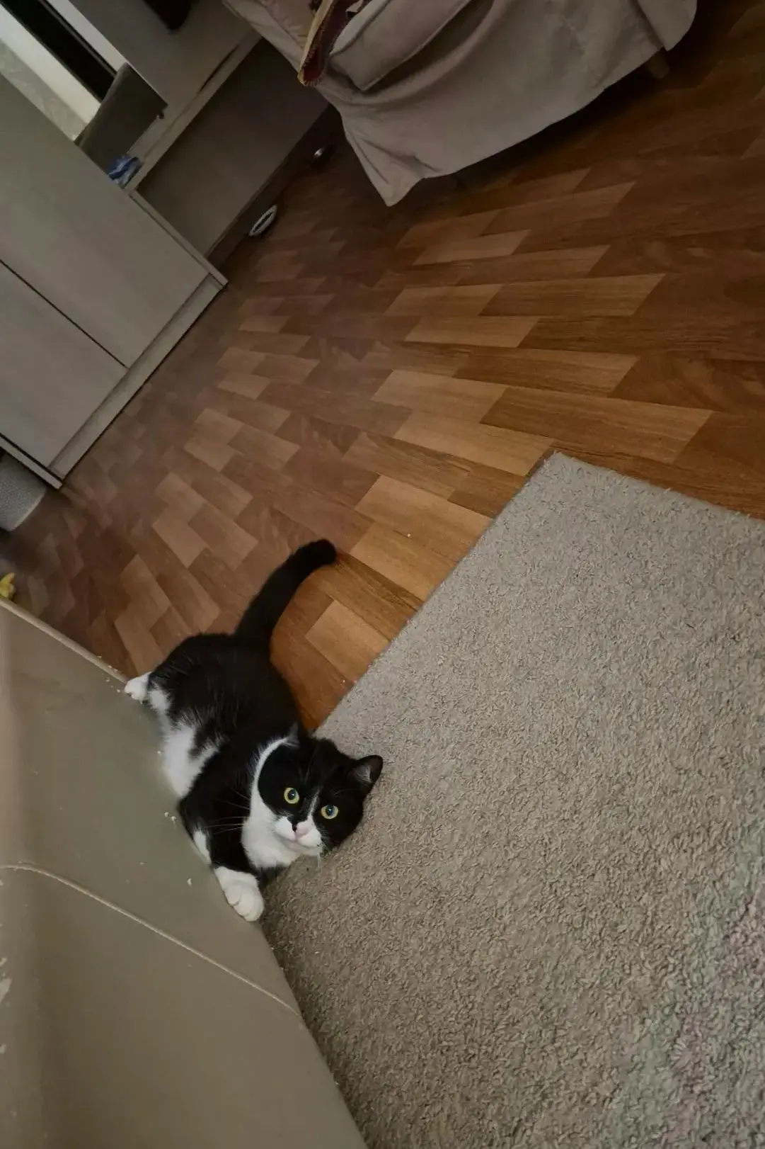 #из_нового_дома