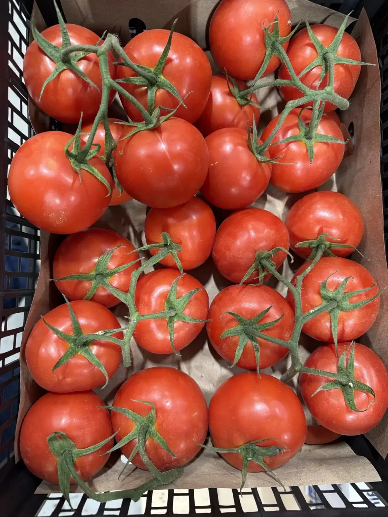 Будет туркменский  отличный красный томат( ветка) 🍅 всего 79 ₽ /кг