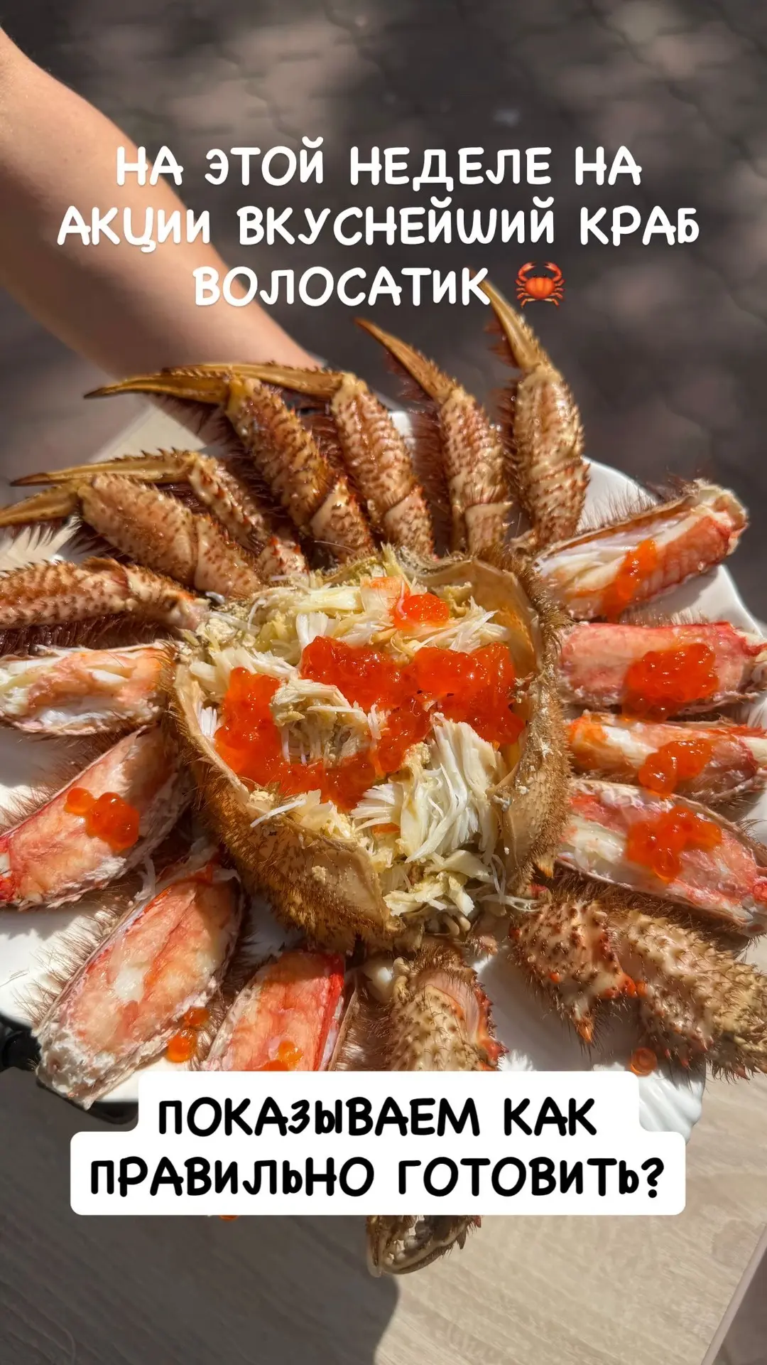 🦀 КРАБ ВОЛОСАТИК! Собственной персоной😎
