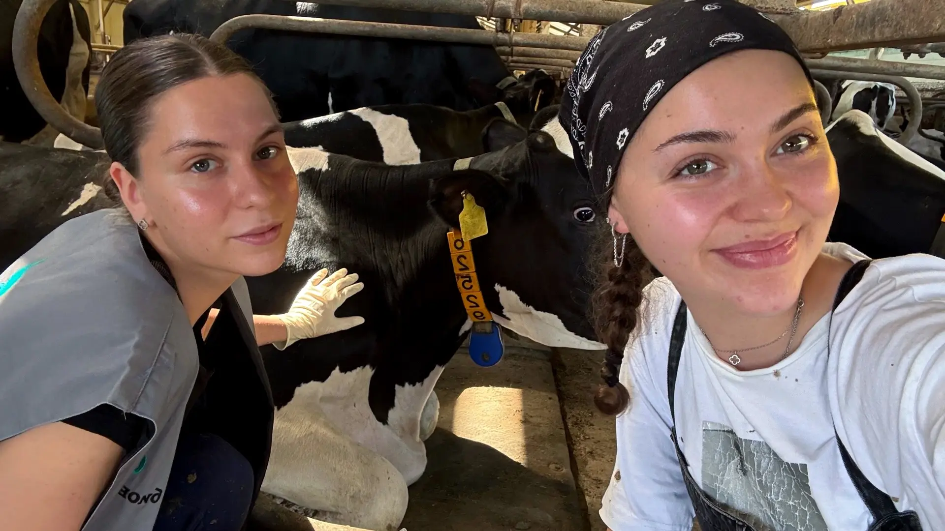 Стартовала производственная практика у студентов 3-го курса!🐄🌾

👩‍🌾 Для наших студентов наступил