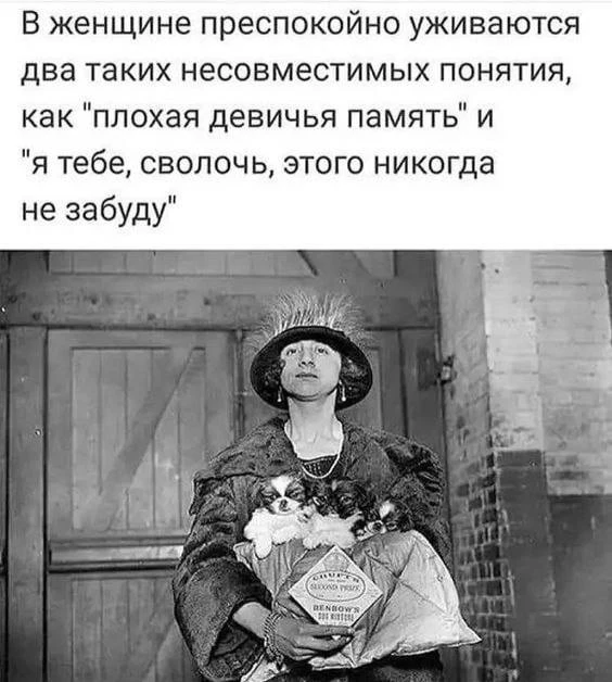 ВИШНЯ 🍒