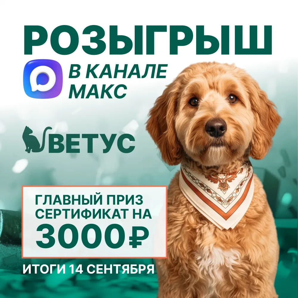 🎁 «Ветус» раздаёт подарки!