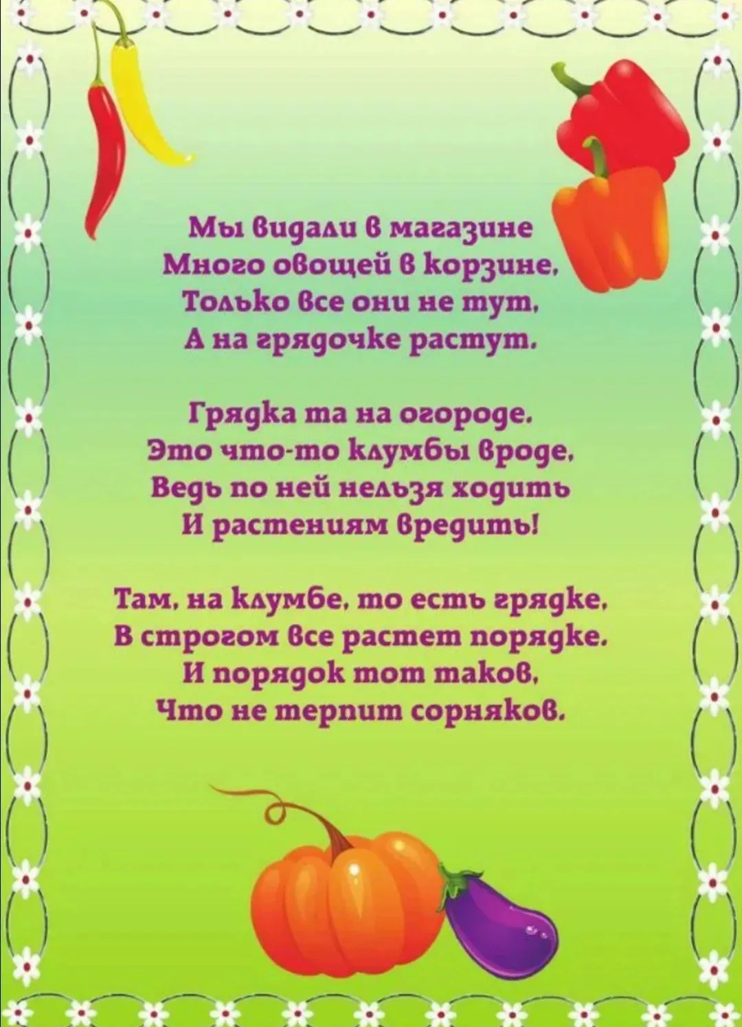 "День волшебной грядки" 🍎🍅🌶️🥕🥔🧅🧄🥬 Воспитанники старшей группы поиграли в дидактическую игру 