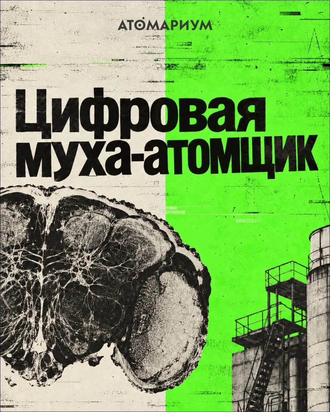 🪰 Мозг мухи оцифровали целиком. Что если поставить его «на смену» на АЭС?