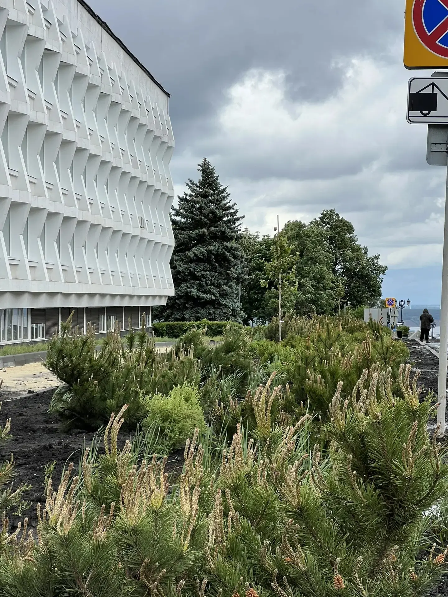 Продолжаем работать на новой зеленой зоне в центре Ульяновска

Вчера специалисты "Горзеленхоза" поса