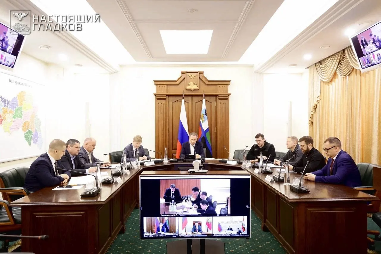 Министр экономического развития РФ Максим Решетников и Вячеслав Гладков обсудили вопрос по расширени
