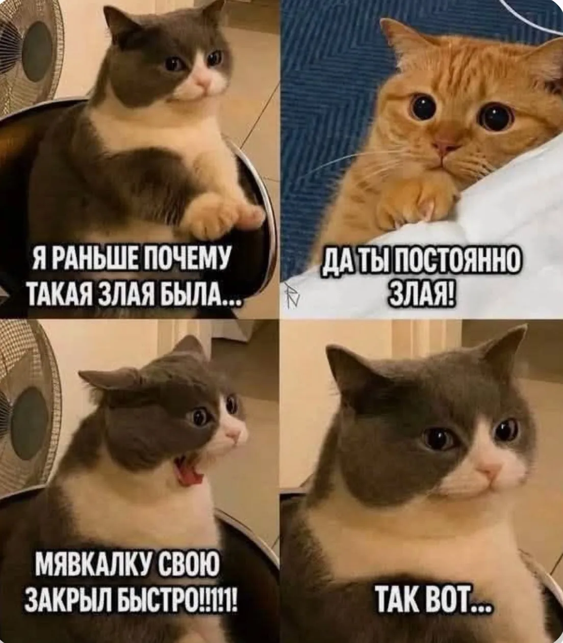 Дурилка картонная