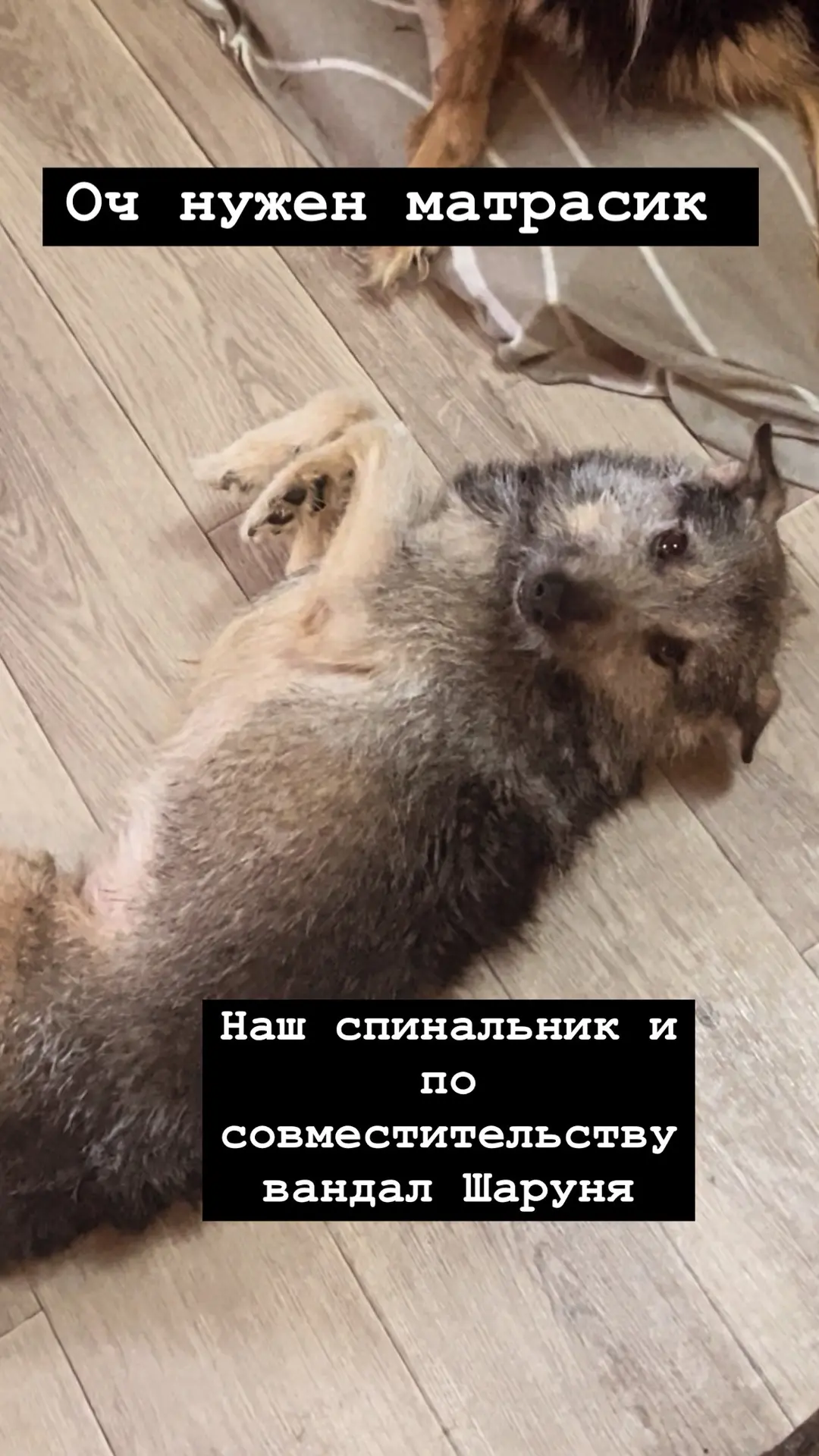 У нас очередной  акт вандализма…😵‍💫