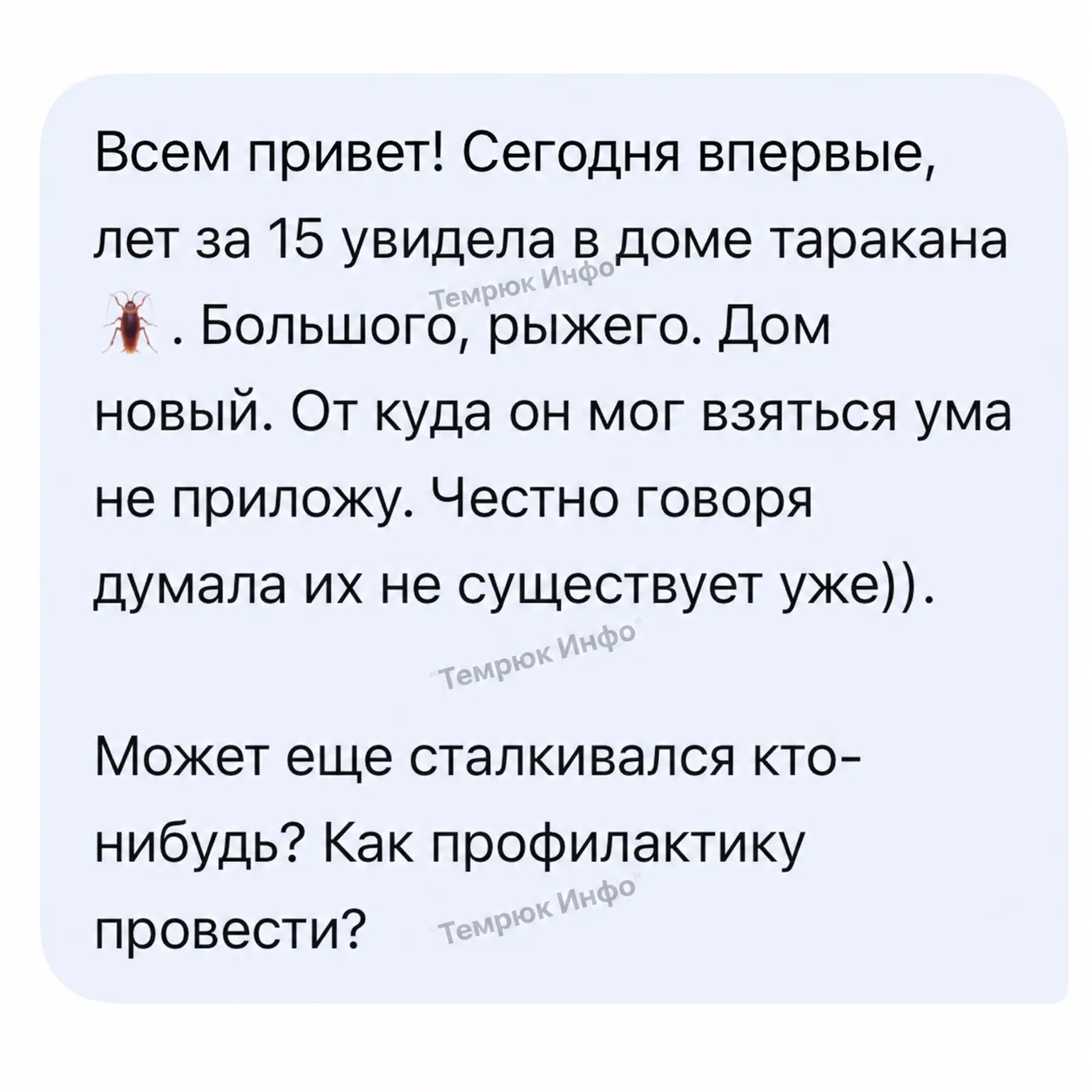 «Думала, их уже не существует»: девушка удивилась таракану в новом доме в Темрюке 🪳
