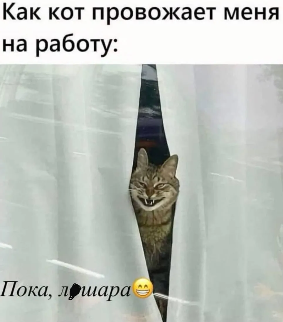 Доброе утро, дорогие😂☀