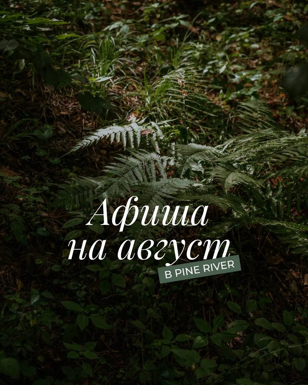 Забирайте нашу афишу на август!