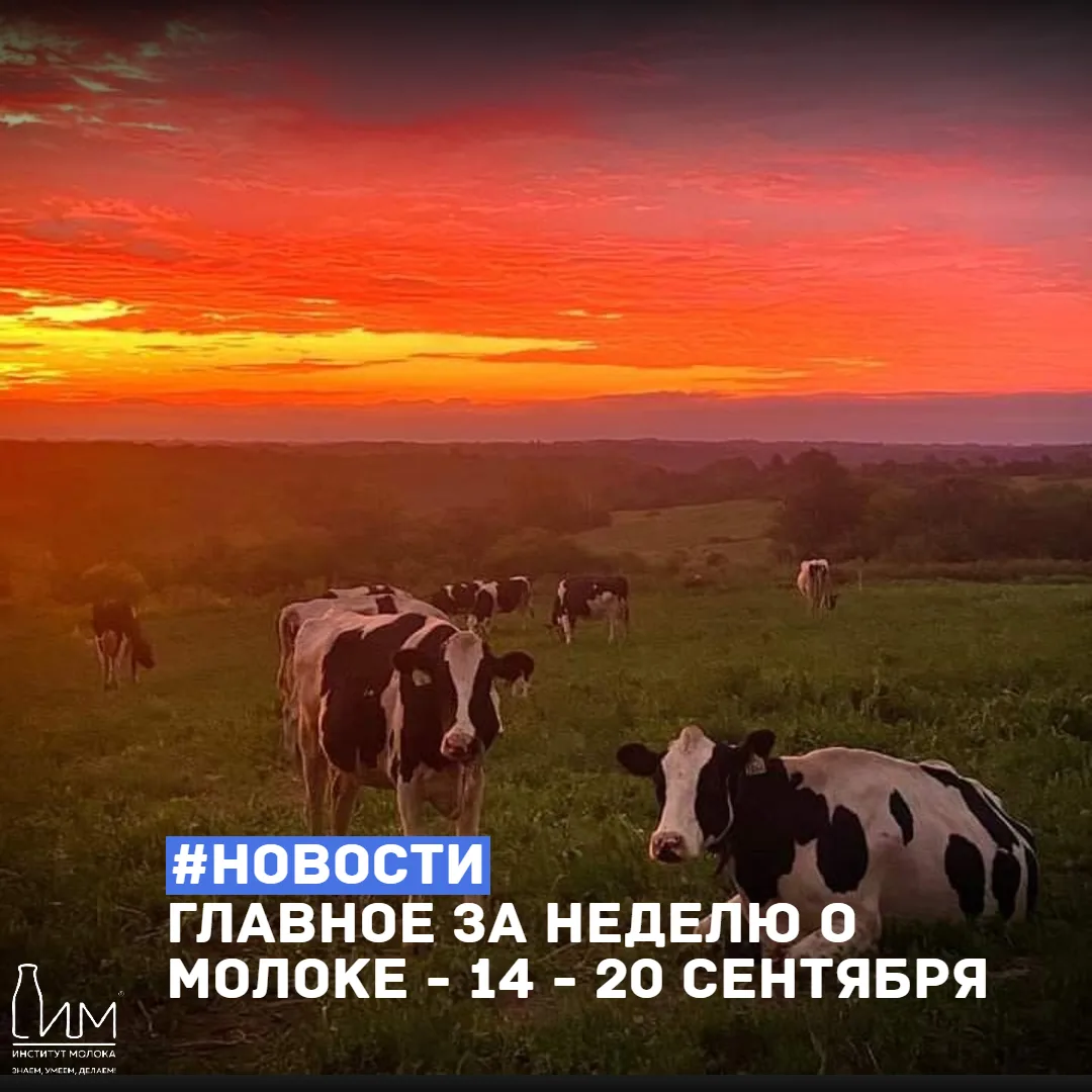 ⚡️ Главное за неделю о молоке: 14–20 сентября 2026