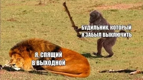 КуЗьМа в ТеМе