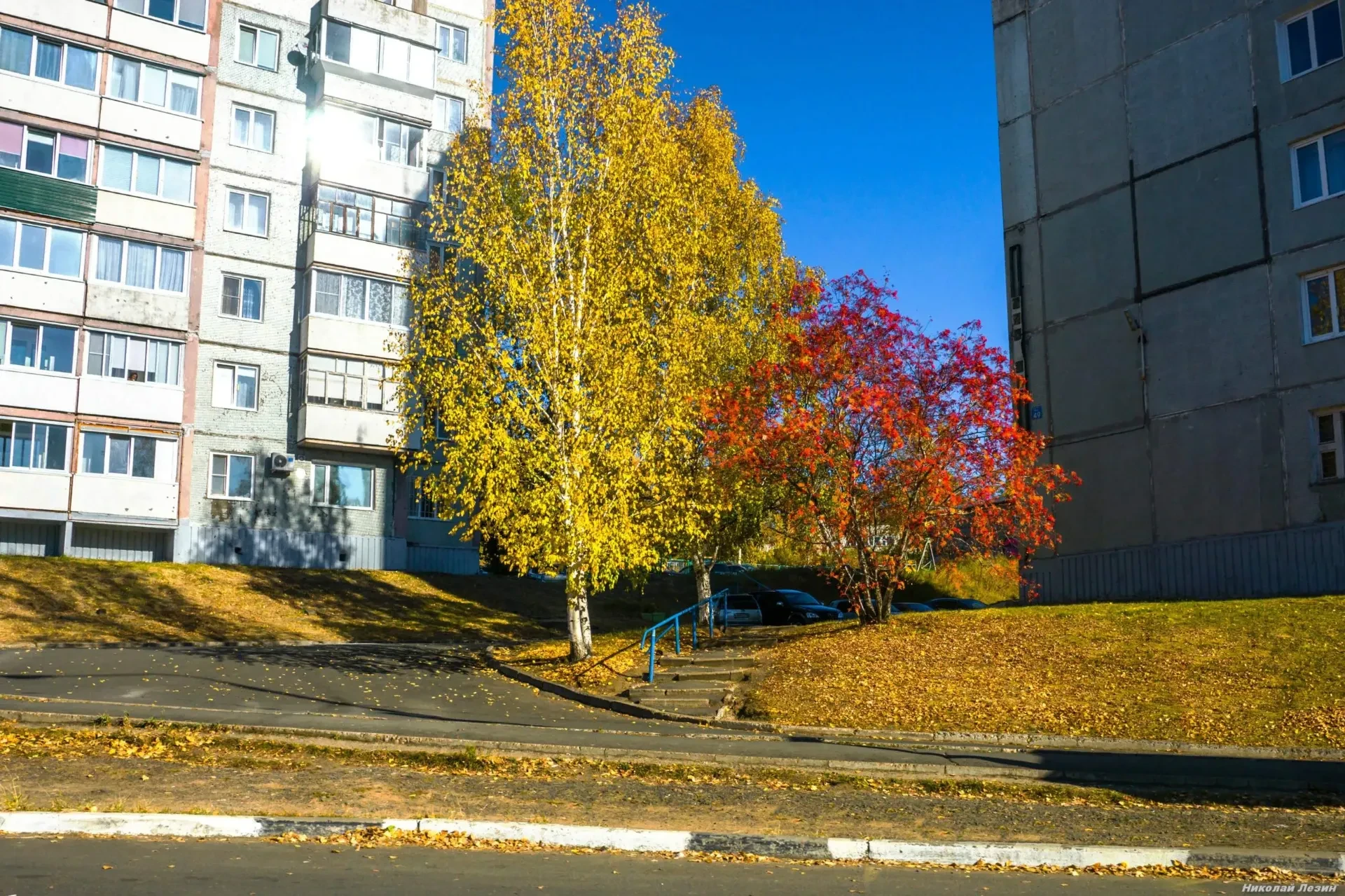 Яркие краски Усть-Илимской осени. Проспект Мира, 47, 49 🍂🍁