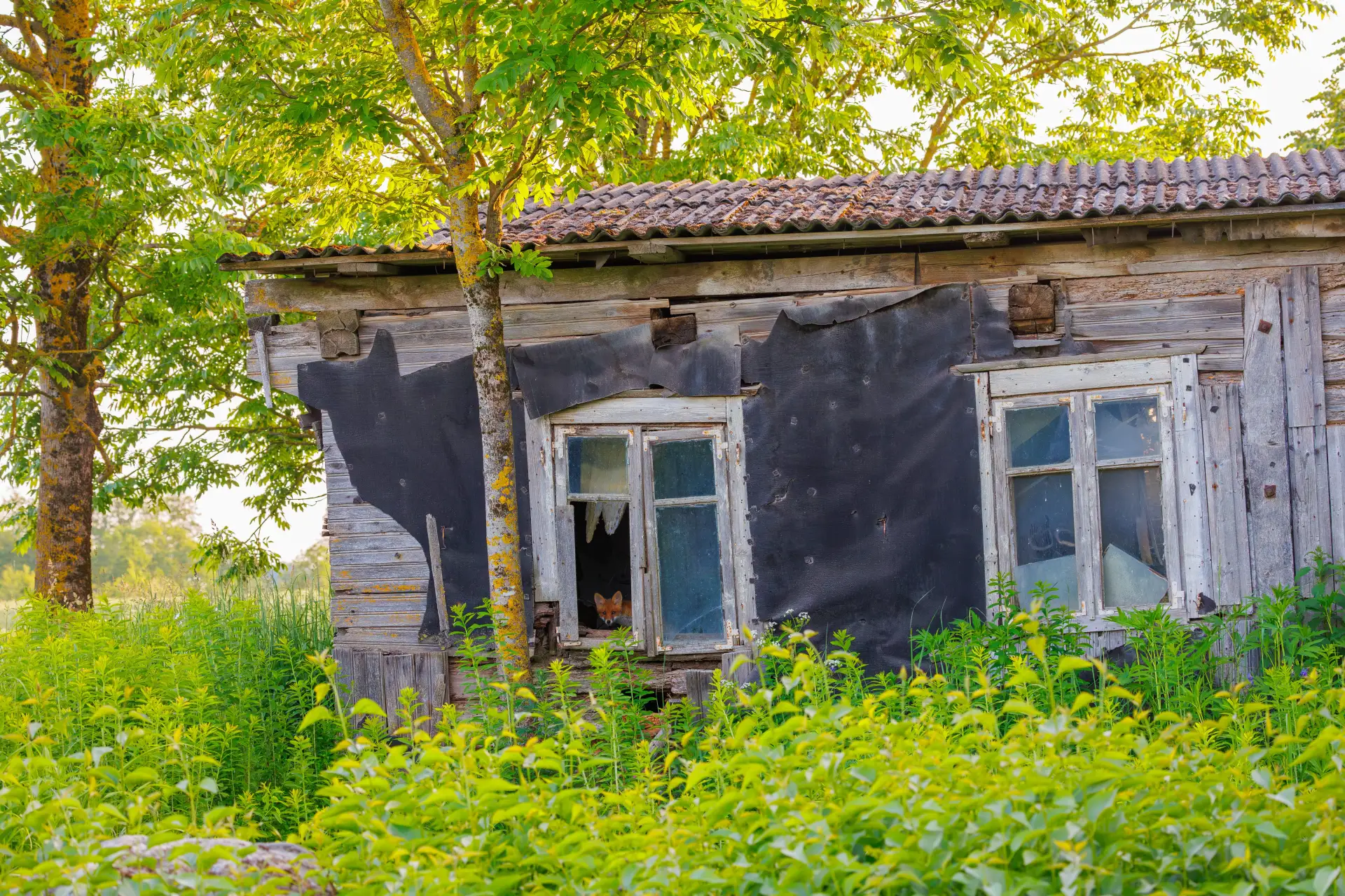 🏠 10 лет в аварийном аду. Как мы добились переселения. 

Валентина Береговых больше десяти лет прож